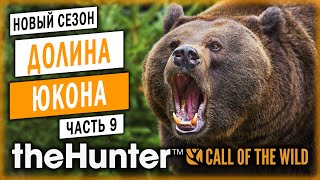 theHunter Call of the Wild #9 🐺 - Охота На Медведей Гризли и Волков - Сезон Охоты 