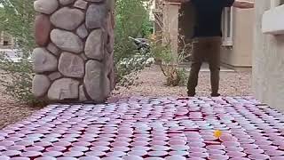 Лох по жизни