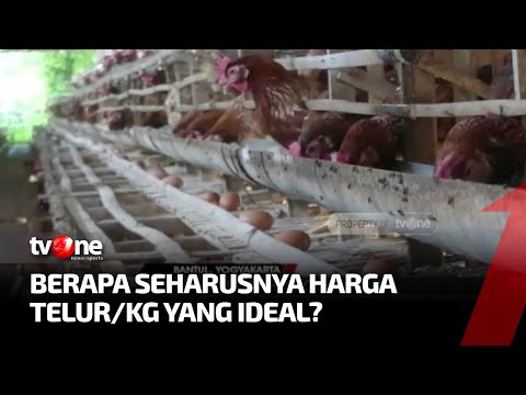 Video: Berapa harga telur manusia?