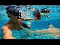 BABY CALI's FIRST SWIM with SHARKS!