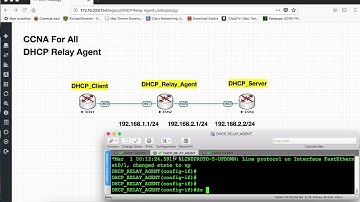 DHCP Relay Agent – what it is and how to do?