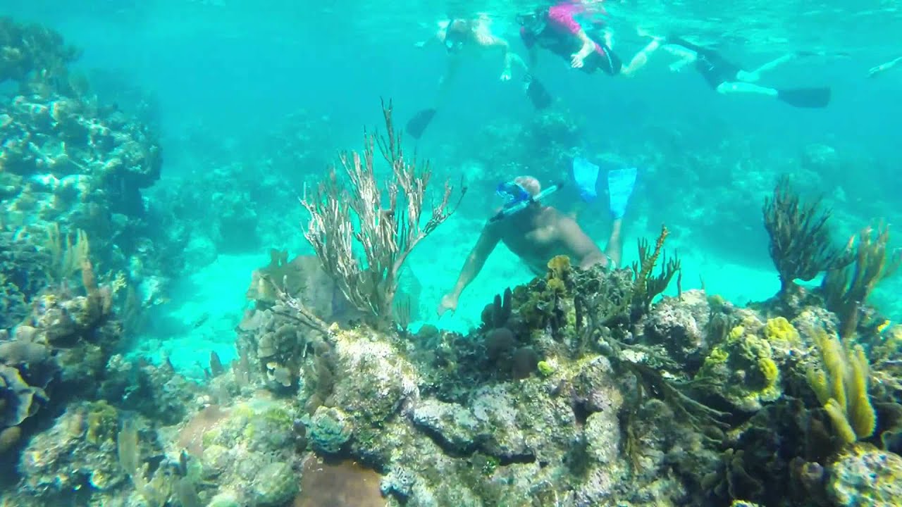 Roatan West Bay Beach Snorkeling Roatan West Bay Beach Snorkeling