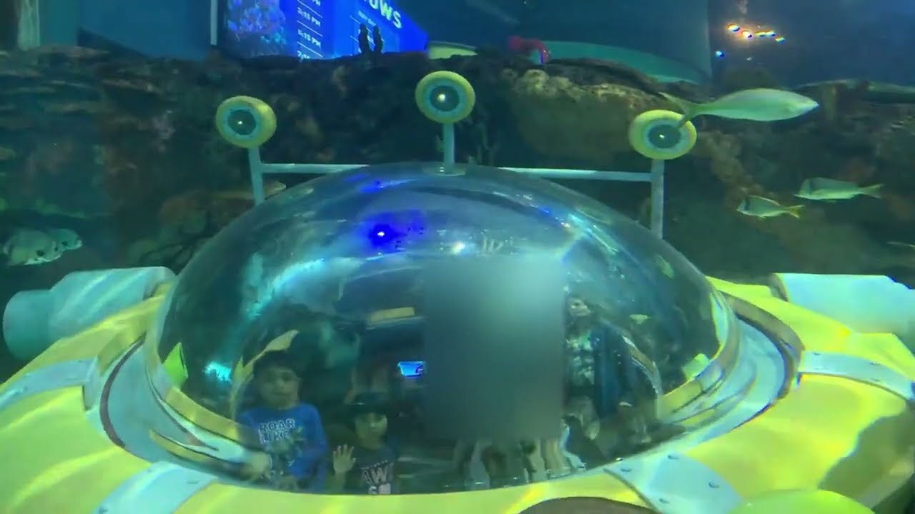 Ripleys Aquarium under water tunnel Toronto