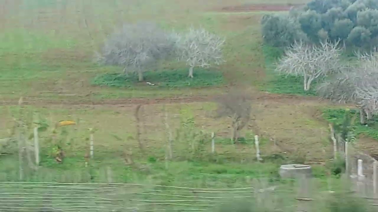هذه الطريق من طنجه الى الرباط.