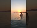 Por do sol lindo na praia com meu amor 😍 Japão