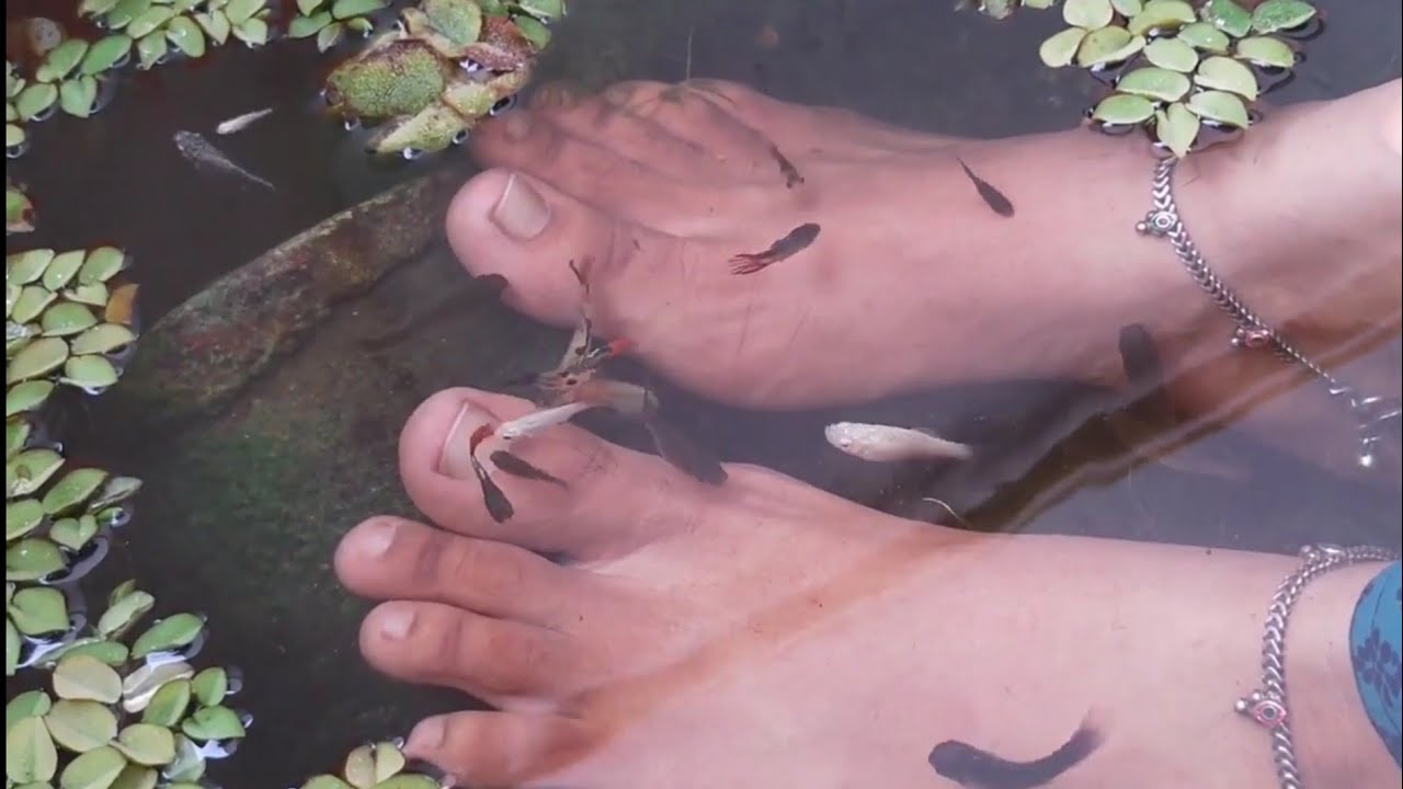 Fish pedicure at home || Rain Cloud