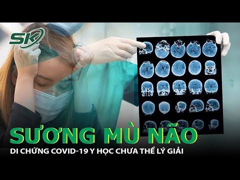 Video: Chứng chỉ sương mù có giá trị trong bao lâu?