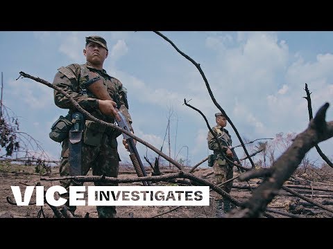 Why The Amazon Is On Fire: VICE Investigates on Hulu