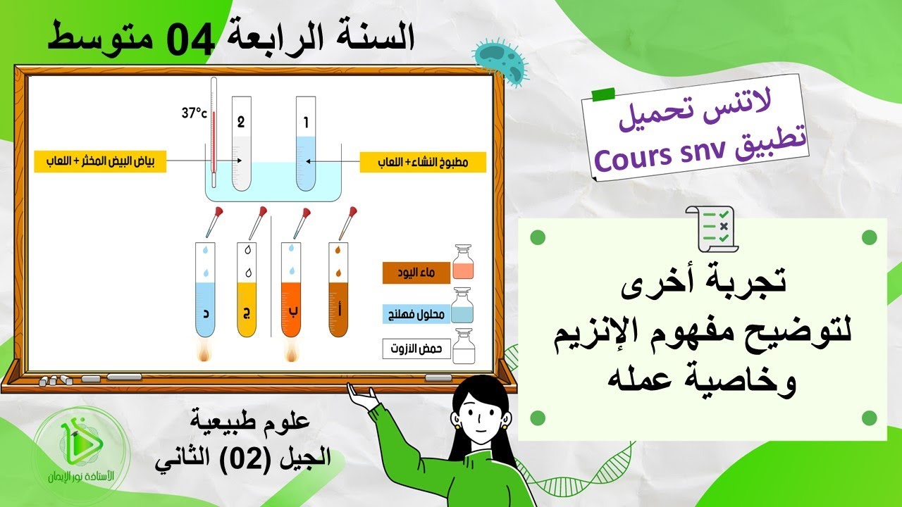 توضيح مفهوم الإنزيم وخاصية عمله - تجربة - علوم طبيعية سنة 04 متوسط