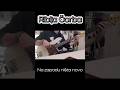 Riblja Čorba - Na zapadu ništa novo #bass #cover #ribljacorba #exyu #exyumuzikaofficial #yumuzika