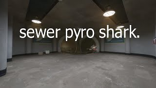 sewer pyro shark.