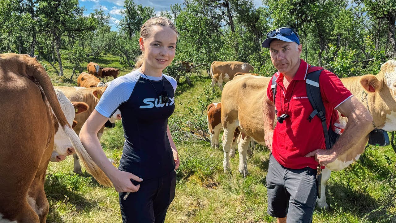Utmarksbeite - naturens klasserom for fremtidens fjøs