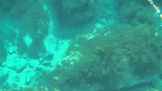 泳ぎ釣り　20120902