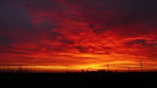 Pink Evening | Instrumental Relaxing Music | Restful Earth Original