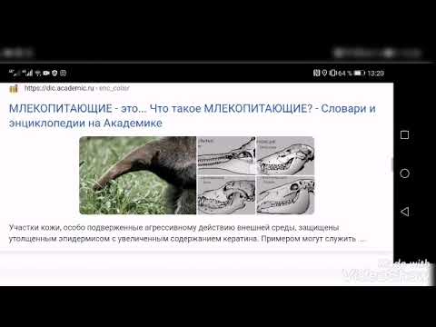 Эффективные способы поиска информации