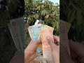 Plastic Currency 🤯 "Mind-Blown Facts"