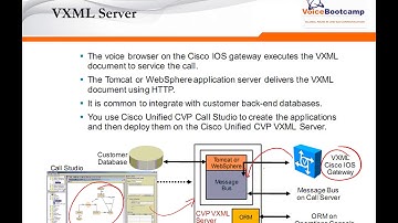 Chapter 2 Cisco Unified CVP Native Component