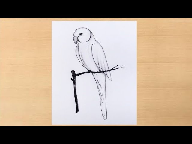 Drawing a parrot with a ballpoint pen., Ekaterina B