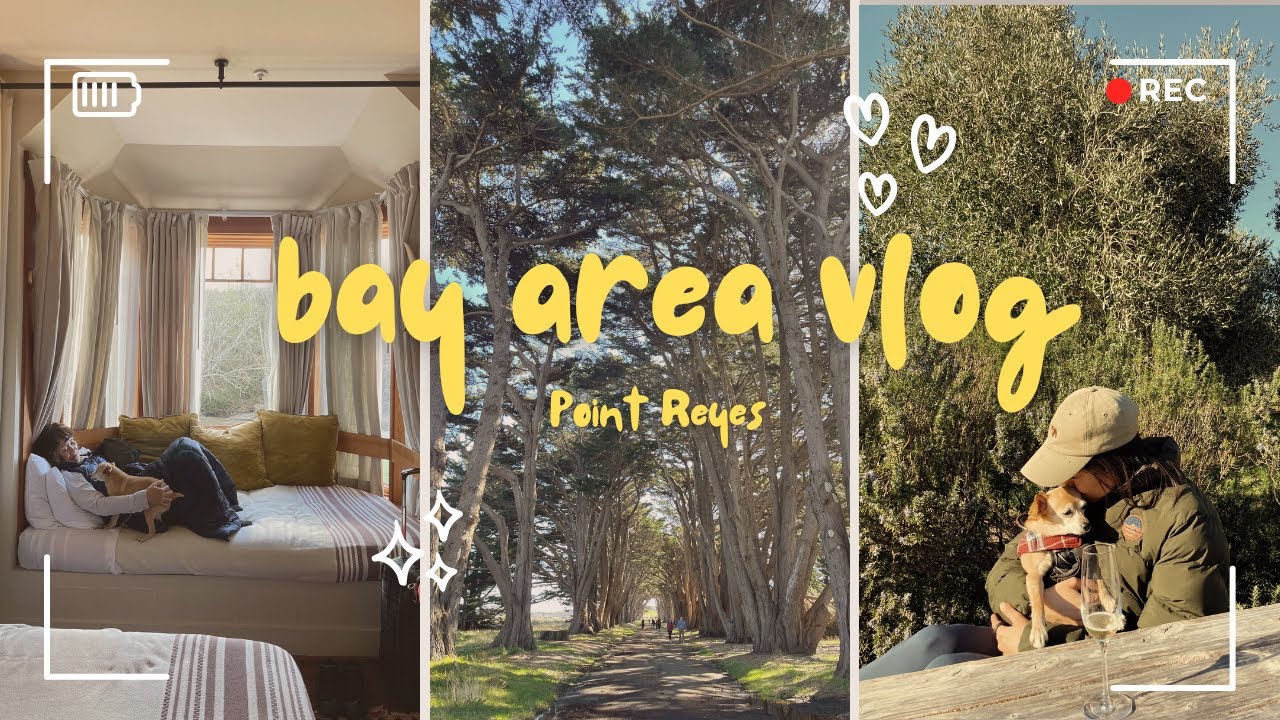 bay area vlog | celebrating moms bday in point reyes