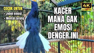 KACER GACOR KONSLET FULL ISIAN TEMBAKAN KASAR AMPUH MERANGSANG EMOSI KACER LAIN CEPAT PANAS EMOSI
