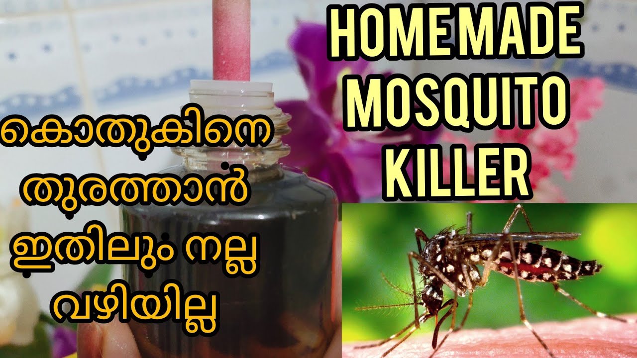How to make a mosquito killer liquid at home//Home made mosquito killer