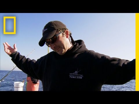 Pirate Problems Preview | National Geographic