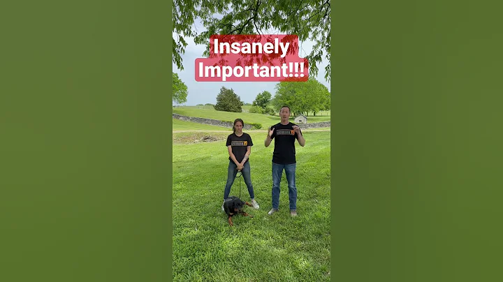 The BIG Debate: Can You Socialize an Unvaccinated Puppy? #dogtraining #shorts