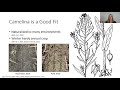 Applied plant sciences seminar 10520 julija cubins