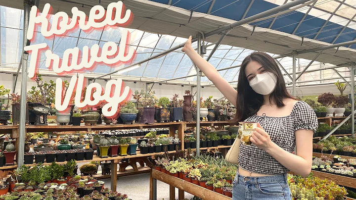 Korea travel vlog  I like this city even more than...