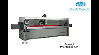 EMMEGI Phantomatic X4