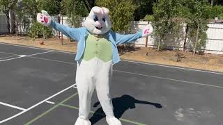Funny Bunny Series: Nasri & Bunny