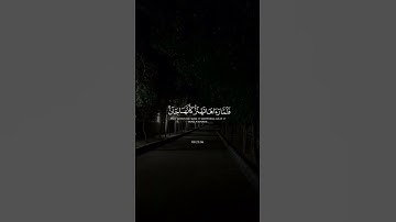 سورة القصص | القارئ: ياسر الدوسري