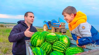 Playing watermelon farm works and riding tractors to help dad | Kidscoco Club