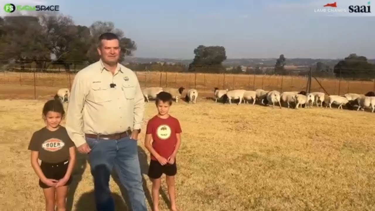 Hannes van Staden van Tiegerpoort Dorpers vertel ons hoekom hy by Lamb Champs 2024 ingeskryf het.