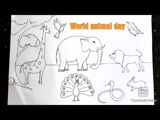 Easy animals drawing(very easy)|Forest drawing| world Animals day drawing -  YouTube