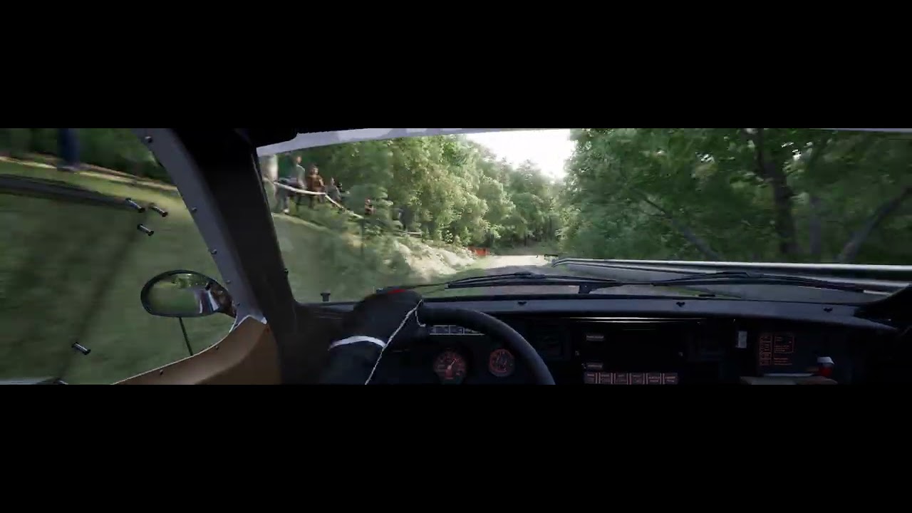 Assetto Corsa Rally | World Record | 