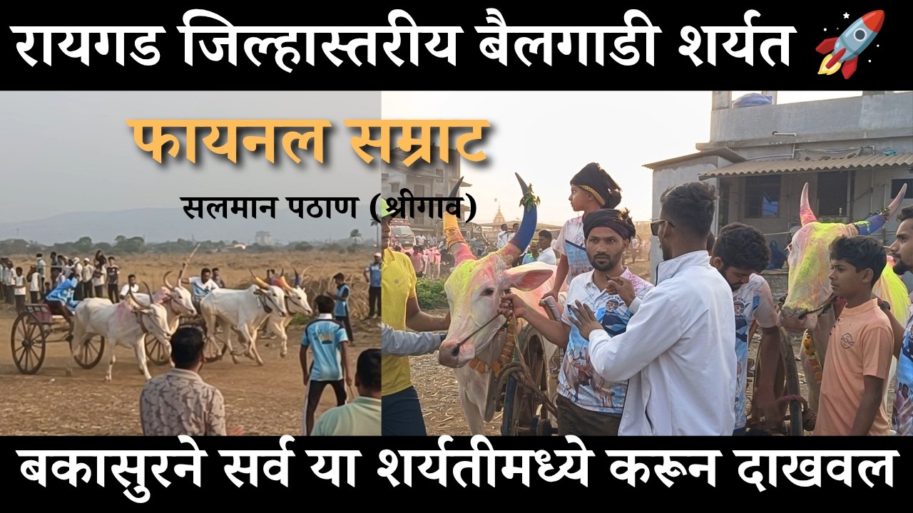 फायनलचे पहिल मानकरी सलमान पठाण (श्रीगाव) 📍 रायगड जिल्हास्तरीय बैलगाडी शर्यत
