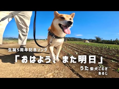 PV「おはよう、また明日」 歌 柴犬こむぎ&あるじ