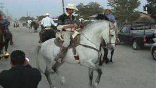 Caballos Bailadores