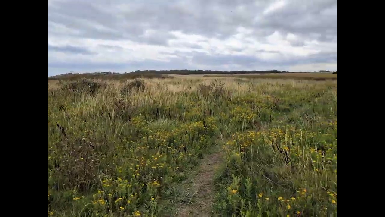 Beaches near Aberfall