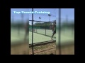 Tennis Player Chases Umpire | When Umpire Decisions Don't Go Your Way