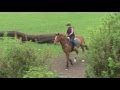 Cross Country Schooling with exracehorse Dave - first attempt - vlog004