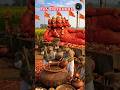 😱 भक्तों की पुकार सुनी 🔱 | Hanuman Kripa Power #shorts