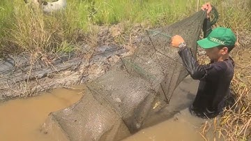 Thăm 12 Cửa Ngục, Dớn Ngoài Đồng Mùa Nước Nổi