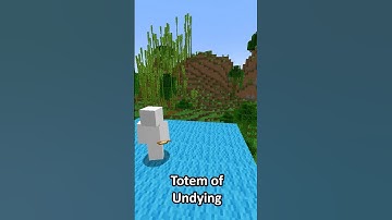Can the Totem of Undying save you from Commands? #shorts #minecraft #gaming