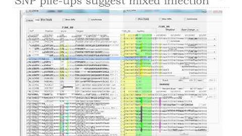 Metagenomics for pathogen detection and characterisation in mummies