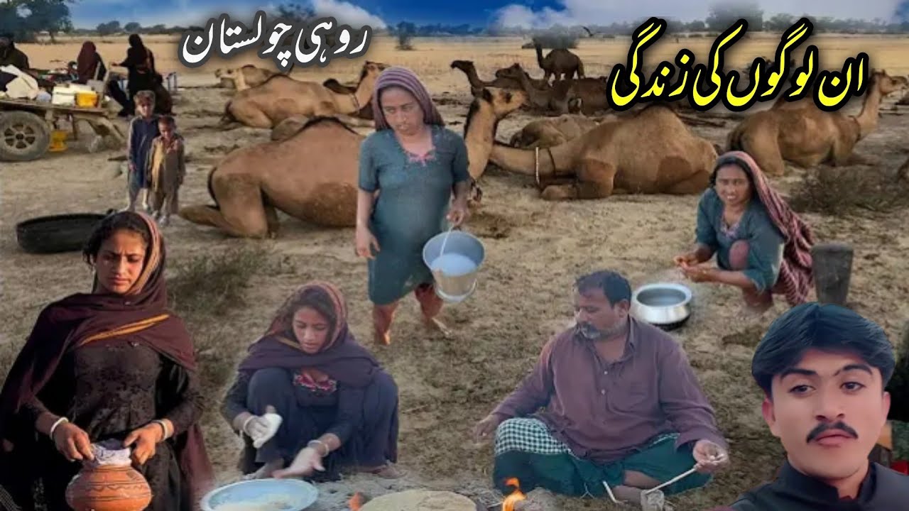 desert camel utho wale log Rohi Mein Kaise zindagi guzar rahe hain Rohi Cholistan  (desert camel🐫) ?