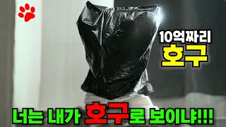 드디어 나왔다..! 개존잼 납치 드라마. 어제 술 같이 마신 친구한테 납치당함.ㅋㅋㅋㅋ거래[1,2화]