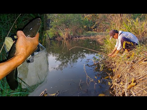 Một Mình Cắm