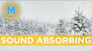 Why does it get quiet when its snowing a lot outside? | Your Morning